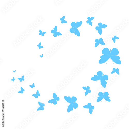 Photography A flock of butterflies flying in a circle, spirals
