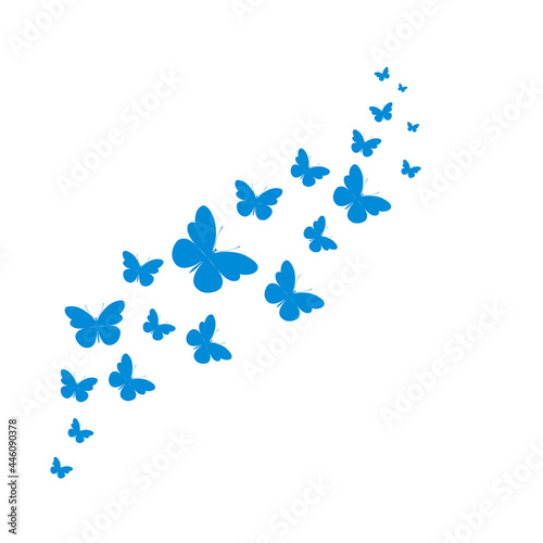 A flock of flying butterflies. Decoration for a postcard  packaging  website page. Vector illustration