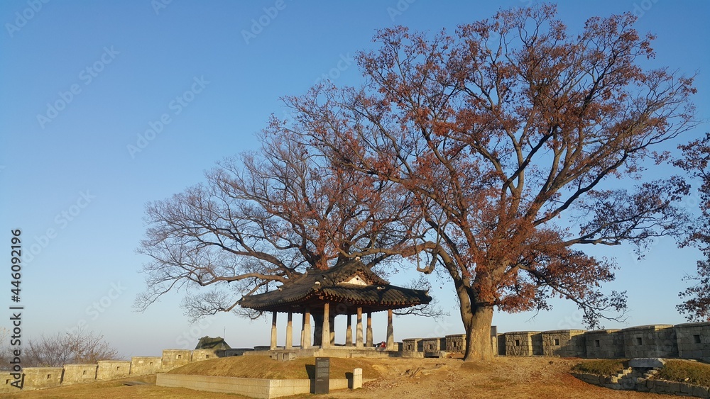 한국의 여행지 연미정