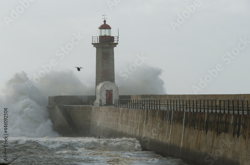 waves crashing on the shore behind the lighthouse with some bird flying photo