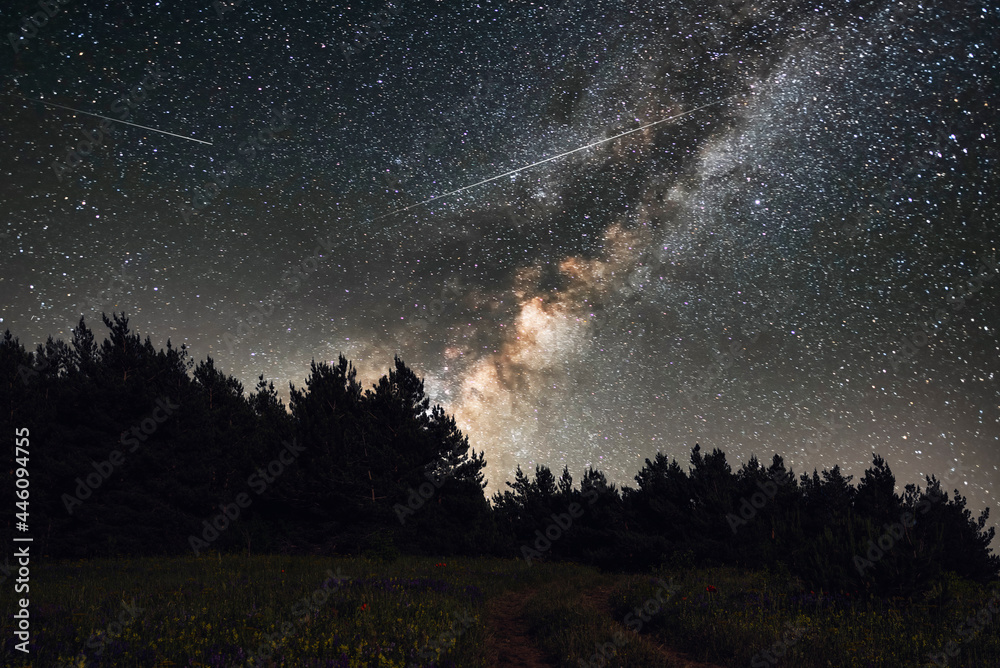 Fototapeta premium Beautiful bright milkyway galaxy in the daark forest. Starry sky, night landscpe. 