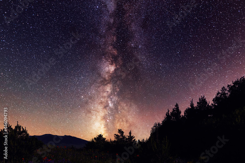 Canvas Print Beautiful bright milkyway galaxy in the daark forest