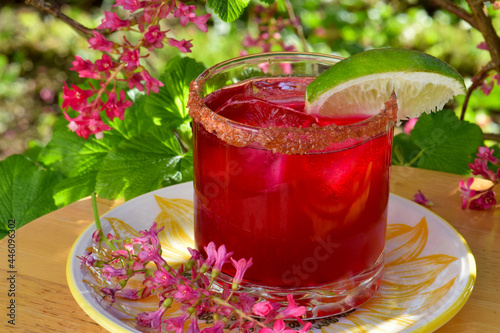 Maroon Tequila and beet cocktail on flower Currant background photo