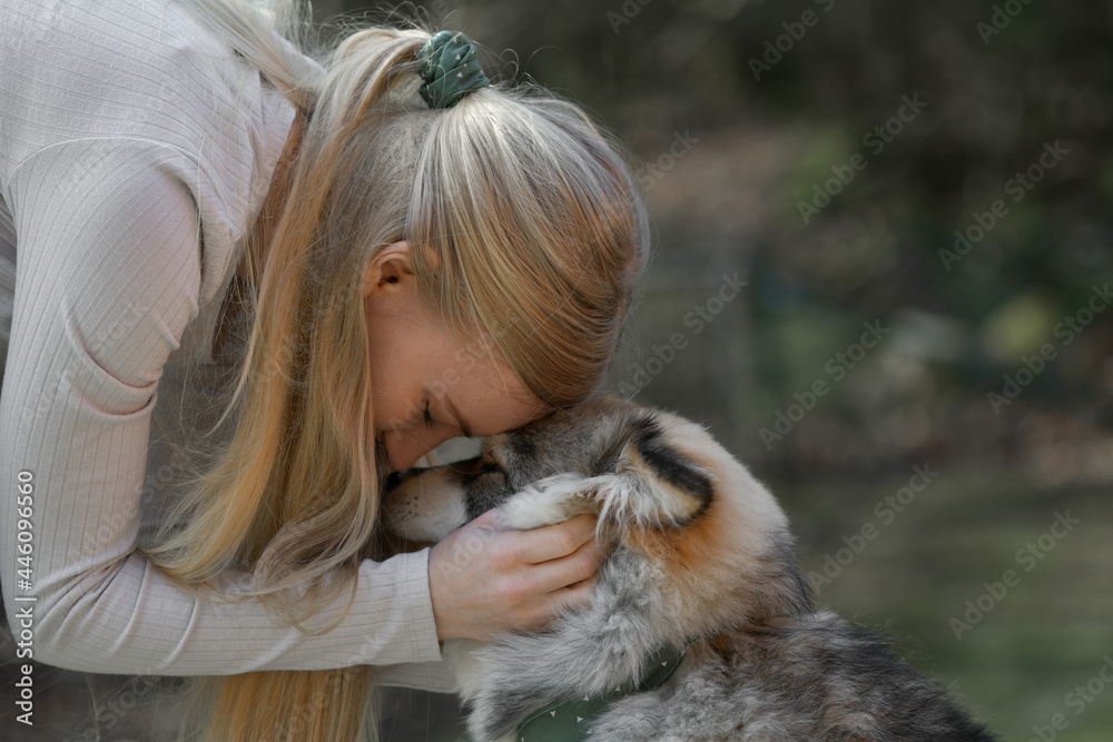 A blonde woman cuddling a Finnish Lapphund dog A blonde woman cuddling a Finnish Lapphund dog