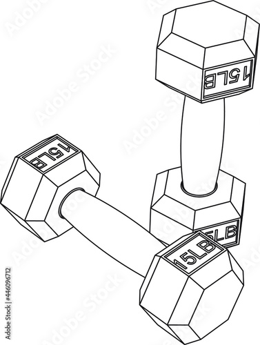 Vector illustration of dumbbells - line sketch art. 15LB