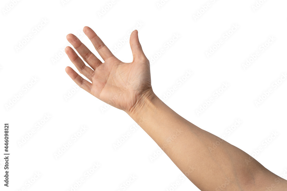 Asian lady woman beautiful empty hand isolated on white background with clipping path. Asian lady woman beautiful empty hand isolated on white background with clipping path.