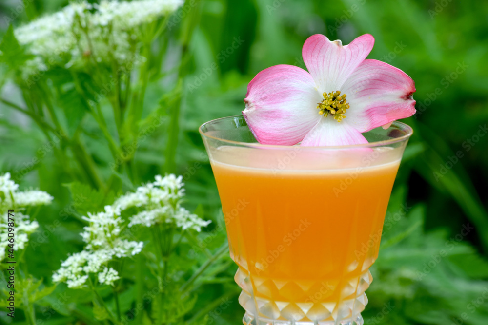 Tiki inspired rum cocktail with flower Dogwood blossom