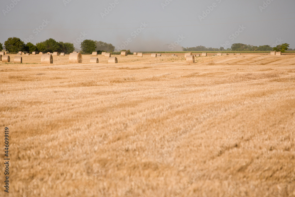 Wheat field after harvest, at the end of summer. Beautiful rural landscape.