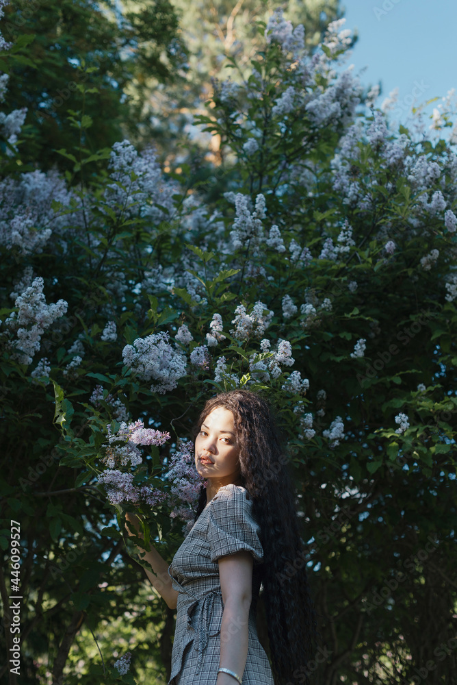 Beautiful asian female standing in front of blossom trees Beautiful asian female standing in front of blossom trees