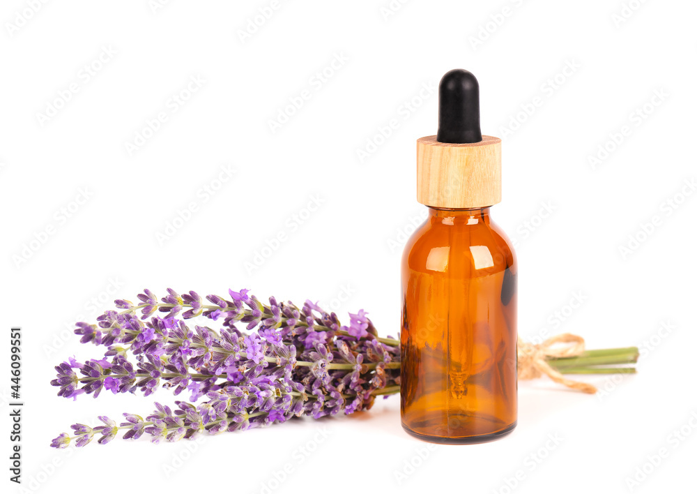 Lavender flowers with glass bottle for essential oil, isolated on white background. Medicinal herbs and oils. Lavender flowers with glass bottle for essential oil, isolated on white background. Medicinal herbs and oils.