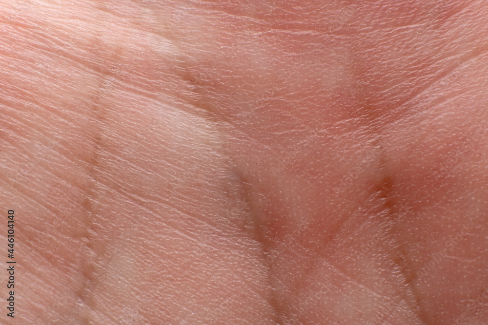 Lines on the palm close up. Palmistry concept.