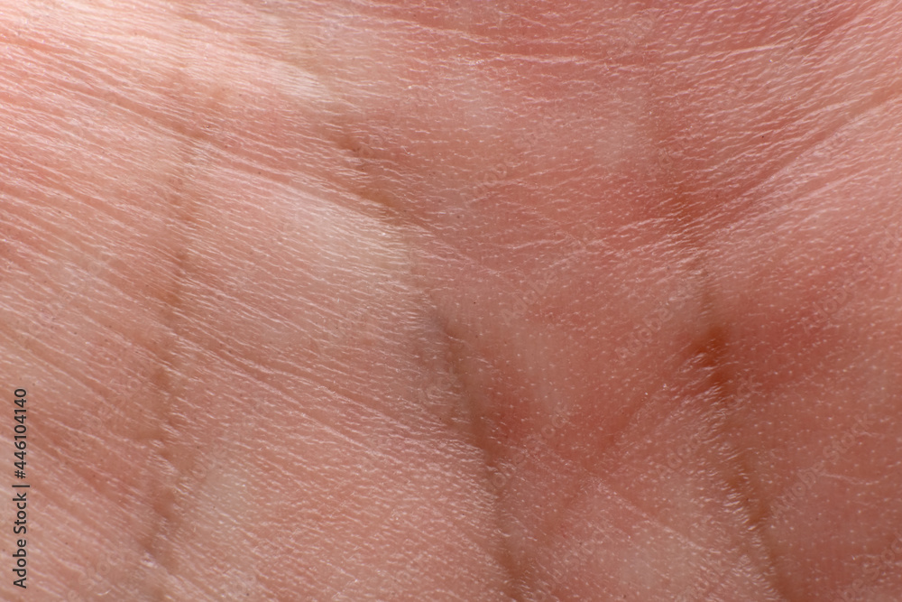 Fototapeta premium Lines on the palm close up. Palmistry concept.
