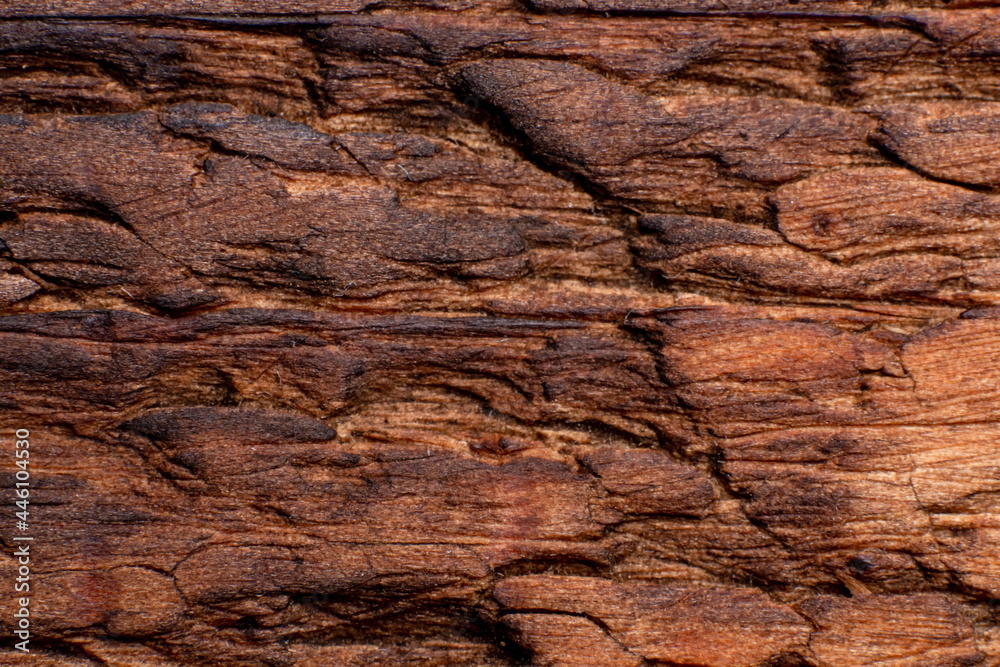 Texture of old wood close-up. Can be used as a background. Texture of old wood close-up. Can be used as a background.
