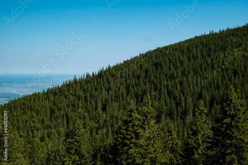 view from Cindrel mountains, Romania