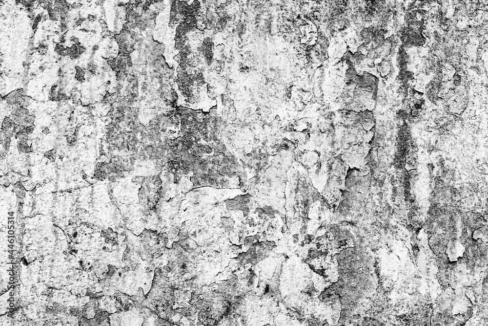 Texture of a concrete wall with cracks and scratches which can be used as a background Texture of a concrete wall with cracks and scratches which can be used as a background
