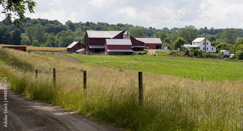 Cuadro en lienzo Amish Farm