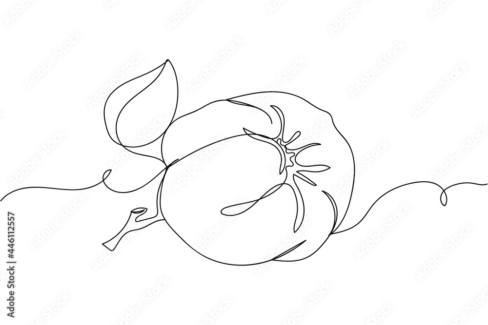 Fototapeta premium Continuous one line of quince with leaf in silhouette on a white background. Linear stylized.Minimalist.