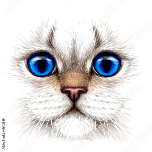 Cat. Creative design. Color portrait of a cat with blue eyes close-up on a white background. Digital vector graphics