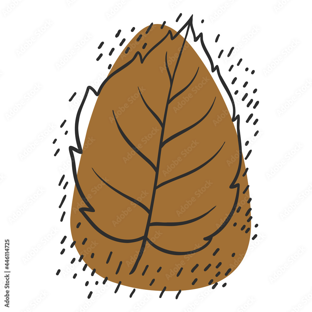 leaf line icon set, leaves - plant elements, icons, abstract spots