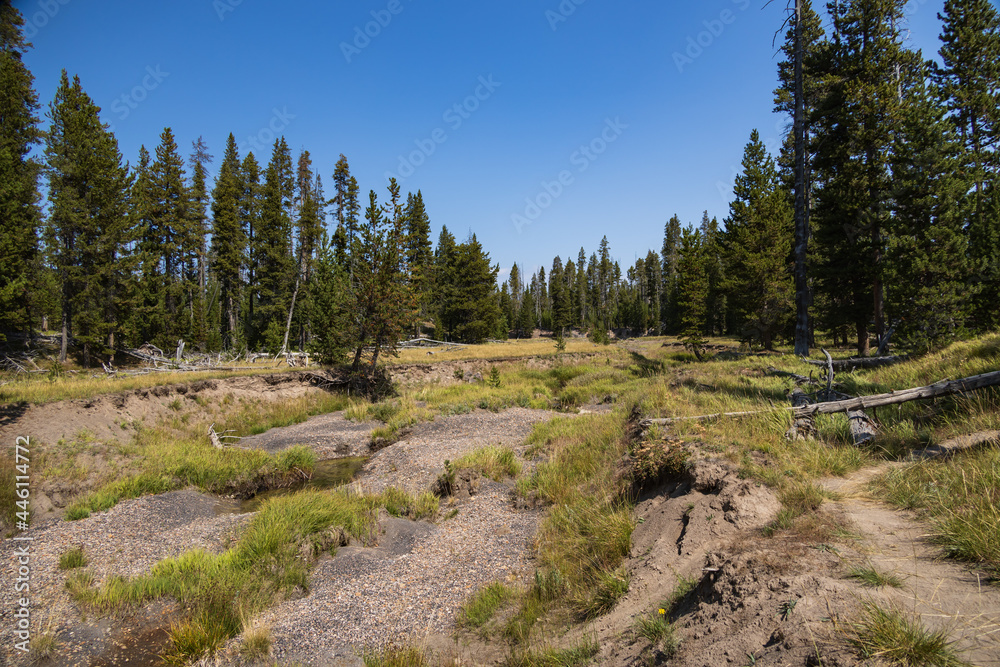 Hiking trail in the forest