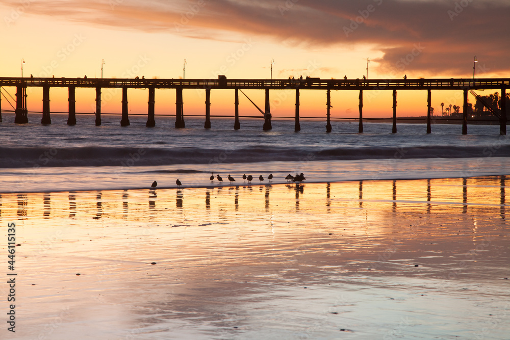 Fototapeta premium Spectacular California Coast Sunsets along the Beach and Harbors