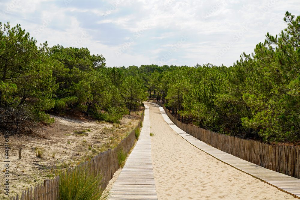 Wooden pathway access to beach sea in lege Cap-Ferret coast Atlantic in france