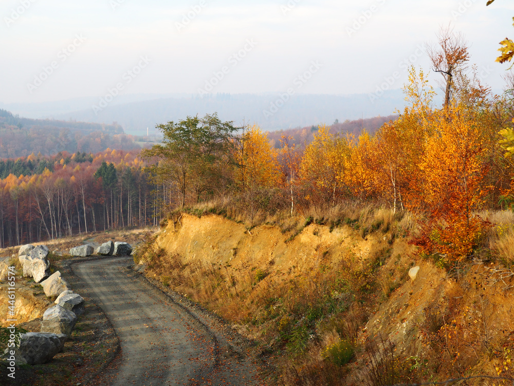 Obraz premium Herbstwald am Steinbruch