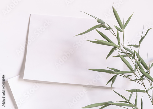 Simple Nature themed card, with a green bamboo branch and white background