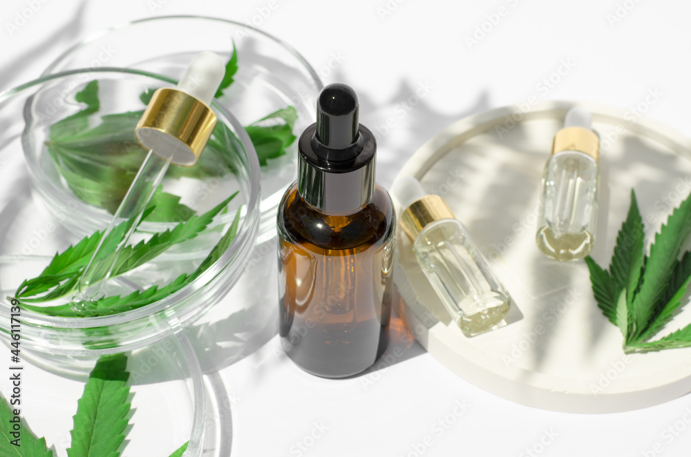 Fototapeta premium Bottles with hemp oil, petri dishes with hemp leaves on a white background with shadows. Natural hemp cosmetics. Cosmetics CBD oil