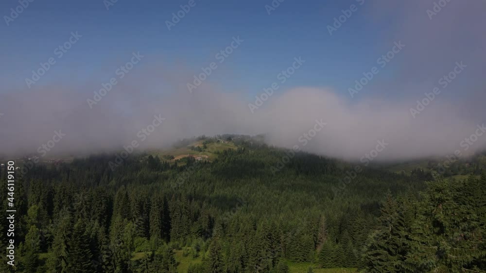 Aerial view of summer calm beautiful mountains landscape with morning fog high mountains in sunny morning after sunrise. Drone footage of misty green forest and magical carpathian scenery Aerial view of summer calm beautiful mountains landscape with morning fog high mountains in sunny morning after sunrise. Drone footage of misty green forest and magical carpathian scenery