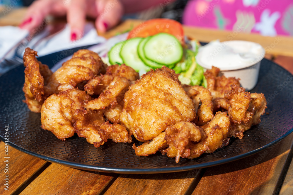 Dutch street food, fried pieces of cod fish fillet served with garlic sauce and fresh green salade Dutch street food, fried pieces of cod fish fillet served with garlic sauce and fresh green salade