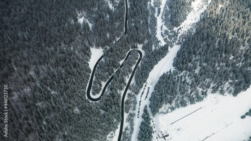 winter winding road in the forest
