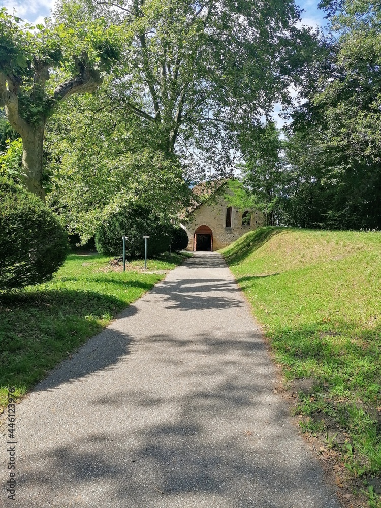 path in the park