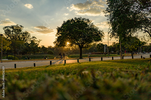 Parque Ibirapuera - São Paulo - SP photo