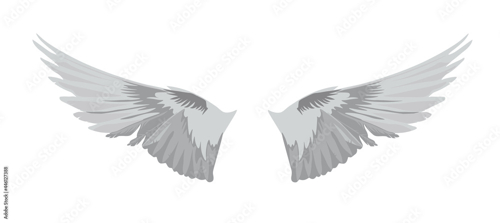 Fototapeta premium Angel wings vector stock illustration. Silver feathers. The bird flight template. Isolated on a white background.