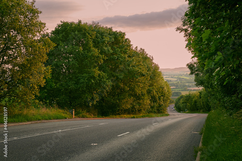 Country road in english countryside in summer with blue sky in the evening with trees and hedges looking downhill