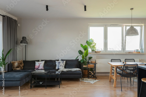 Spacious interior of living room with comfortable sofa and pillows and wooden table with chairs. Modern room with window and stylish furniture in apartment.