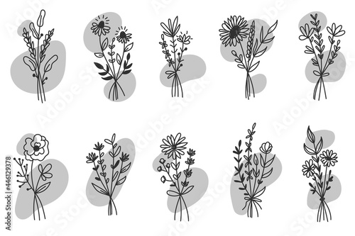 Set of wildflowers. Floral icons, Vector hand drawn flower elements, doodles collection design,  wedding card, invitation.
 photo