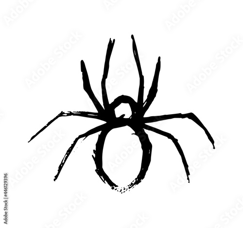 Spider sketch halloween.