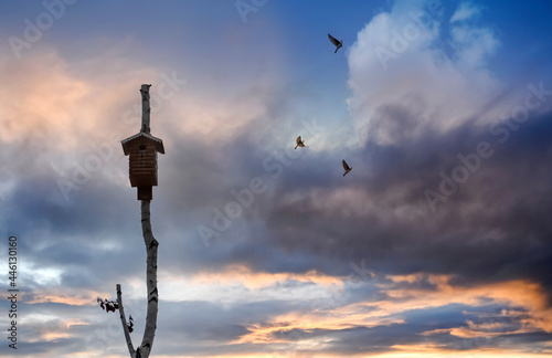 Birdhouse for birds on the background of a cloudy dark sky. Bird house