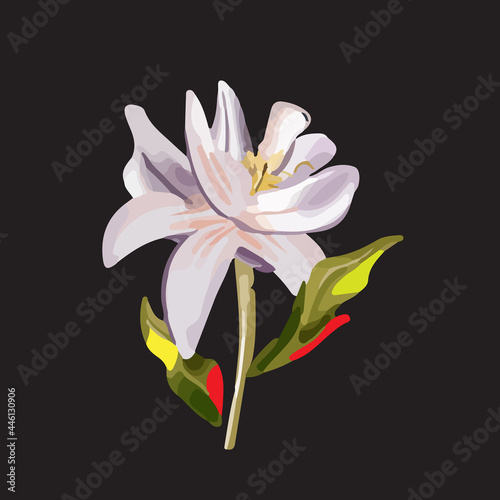Tropical collection with exotic flowers and leaves. Vector design element isolated on a white background. 