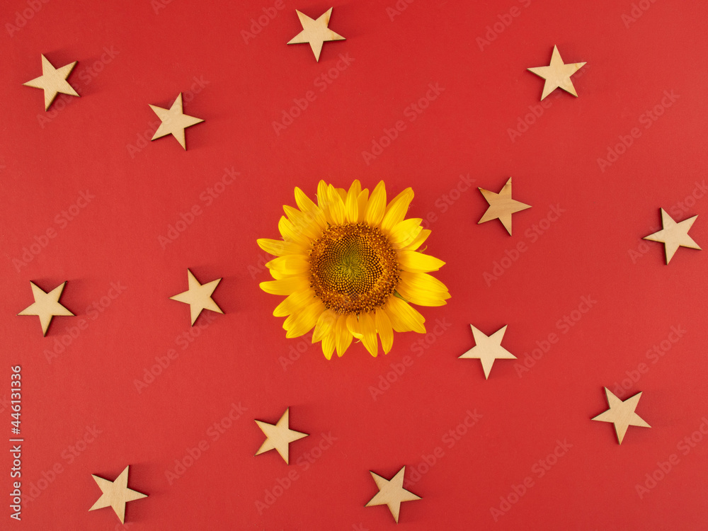 fresh yellow sunflower and cream stars on the bold red background. abstract art. virtual jungle with stars fresh yellow sunflower and cream stars on the bold red background. abstract art. virtual jungle with stars