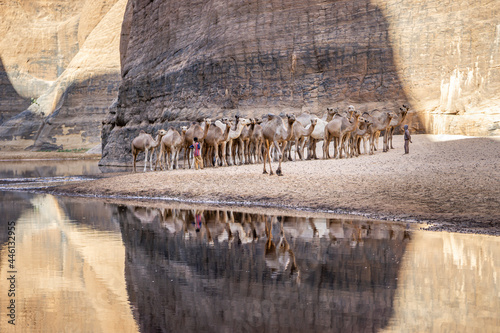 The Scenic Beauty of “Guelta d’Archei” is a hidden treasure of Sahara Desert of Chad.	 photo