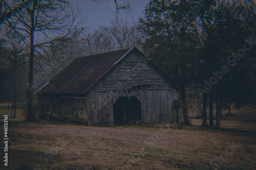 abandoned barn in Alabama on cold foggy morning before dawn surrounded by trees in background