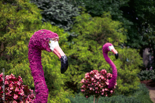 flower plant flamingo sculpture statue in nature life