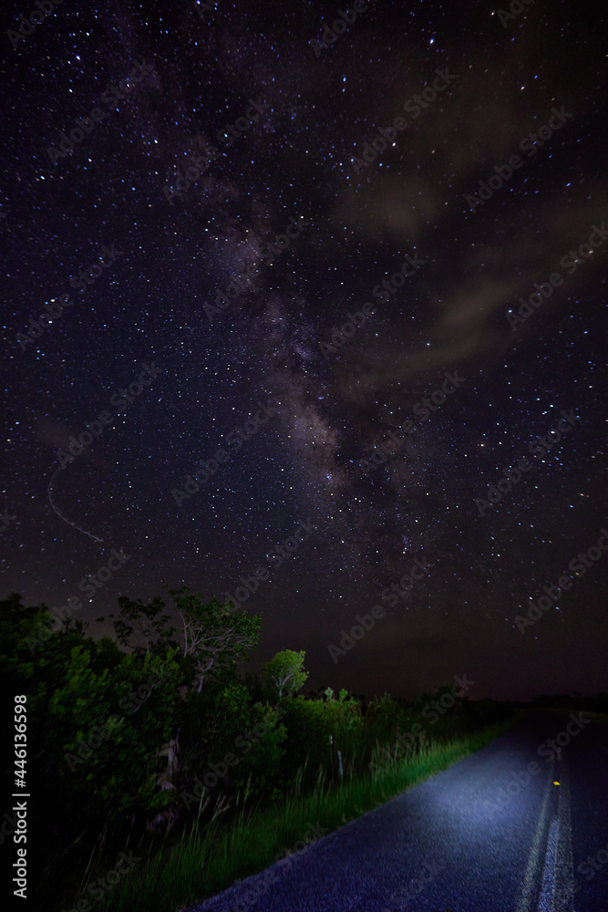 Fototapeta premium All