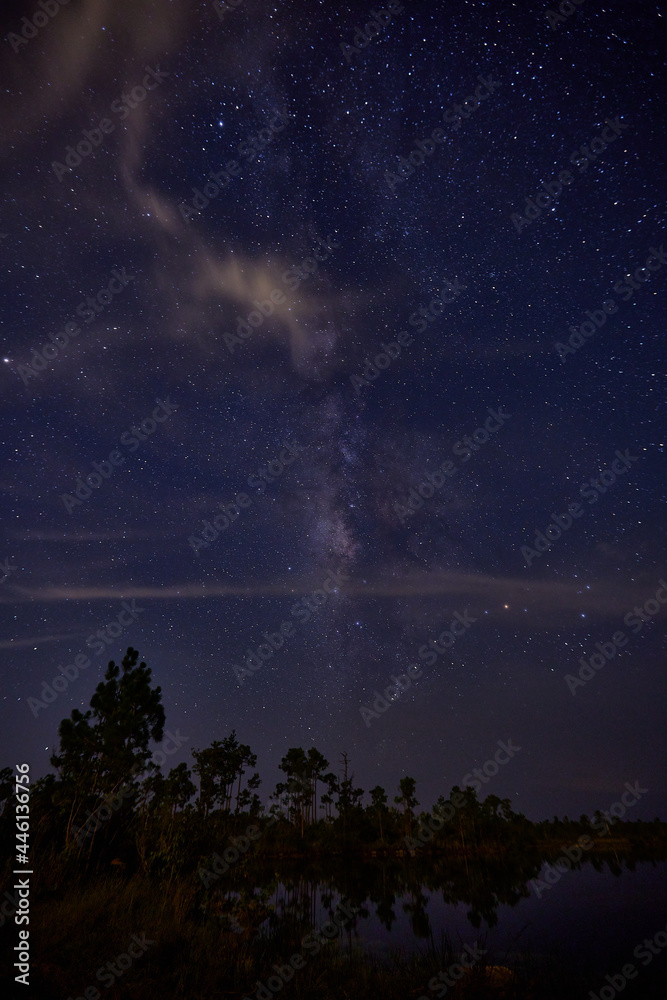 Naklejka premium All