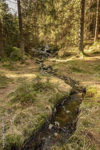 Small waterfall and calm stream in a forest.