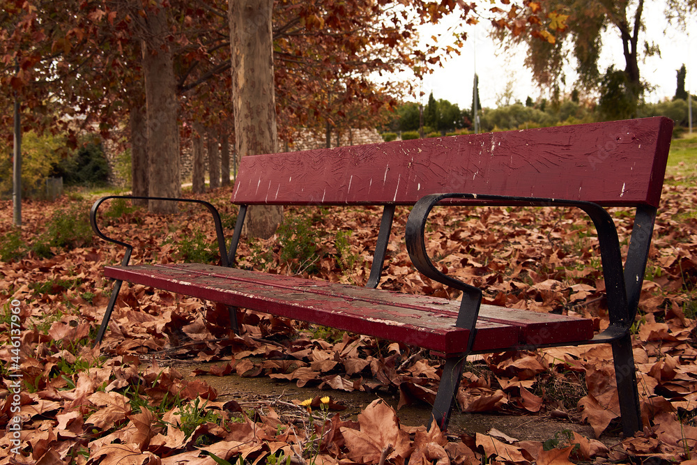 Lone bench in a park surrounded by fallen leaves on an autumn day. Lone bench in a park surrounded by fallen leaves on an autumn day.