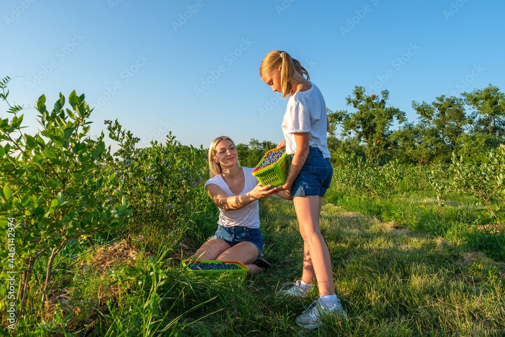 Young mother with her daughter picking blueberries on organic farm. Young mother with her daughter picking blueberries on organic farm.